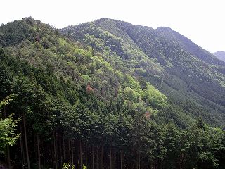 IMGP6704.jpg(24161 byte)