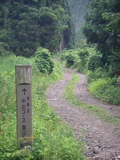IMGP6750.jpg(43242 byte)