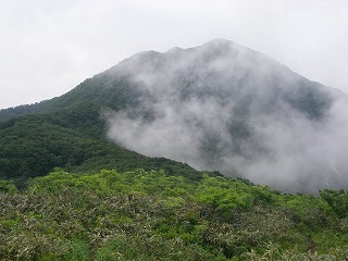 IMGP6773.jpg(25500 byte)