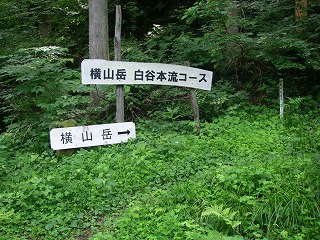 IMGP6810.jpg(50368 byte)