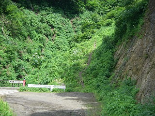 IMGP6825.jpg(47975 byte)