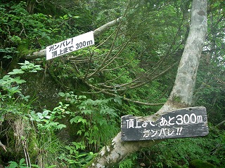 IMGP6848.jpg(51874 byte)