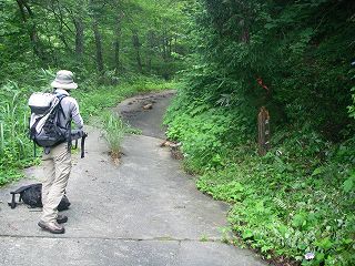 IMGP7055.jpg(29512 byte)