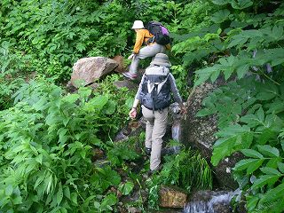 IMGP7059.jpg(34788 byte)