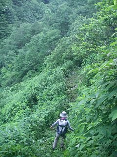 IMGP7064.jpg(33546 byte)