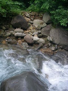 IMGP7065.jpg(23888 byte)