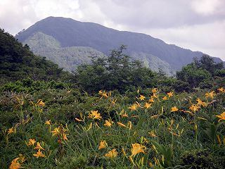 IMGP7120.jpg(26173 byte)