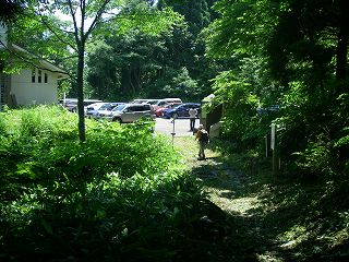 IMGP7164.jpg(31316 byte)