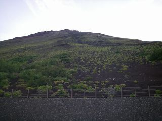 IMGP7519.jpg(15395 byte)