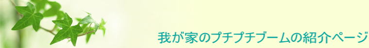䂪Ƃ̃v`v`u[̏Љy[W