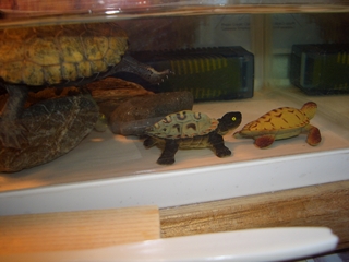 kamera12001.JPG