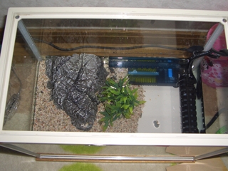 CIMG8255_R.JPG