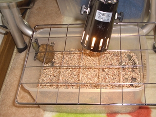 kamera001.JPG
