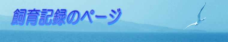 L^̃y[W