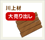 �J�u�g���V�̂�̌�