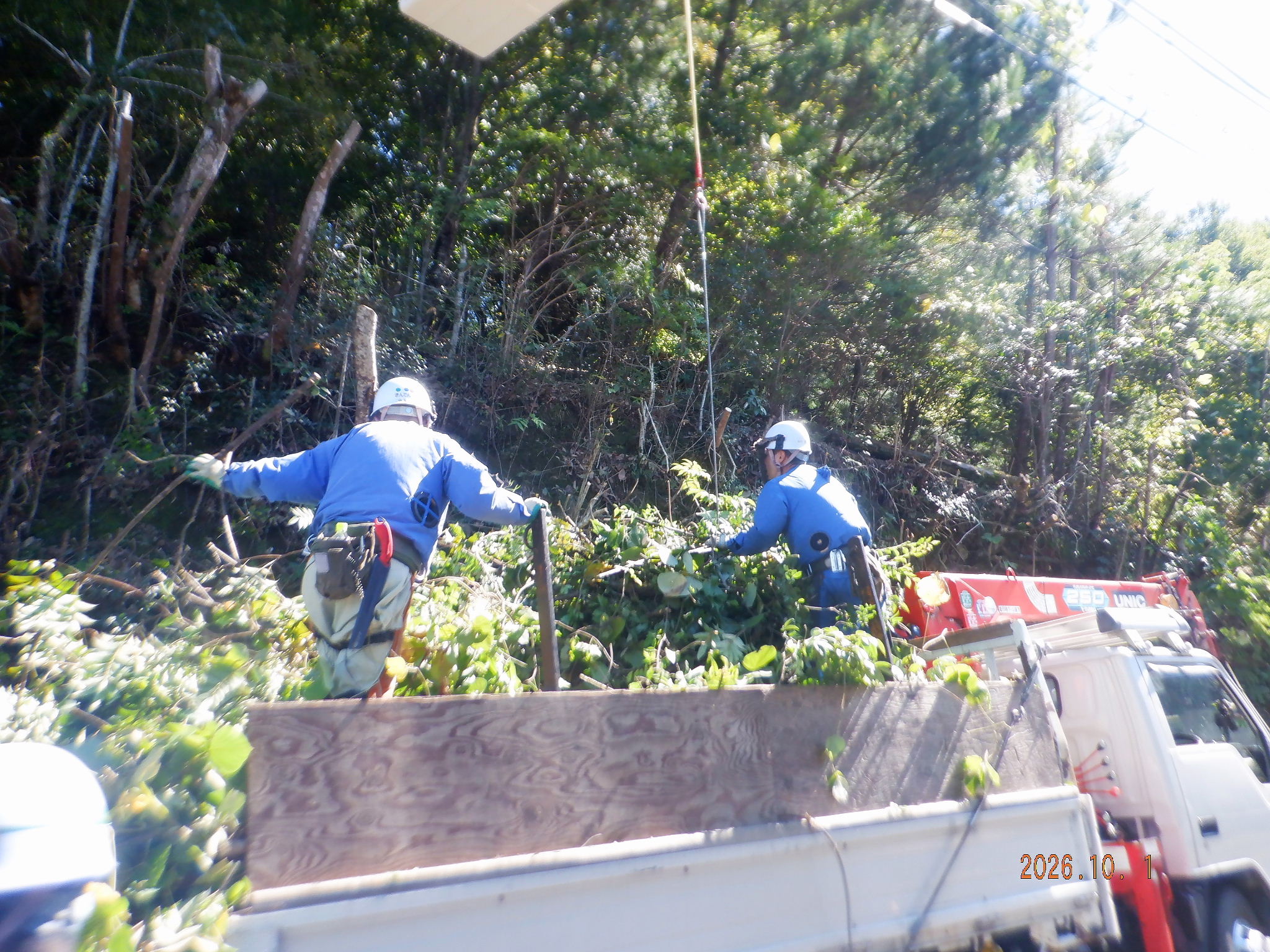搬出作業の写真