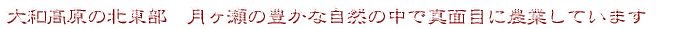 ��a�����̖k�����@�������̖L���Ȏ��R�̒��Ő^�ʖڂɔ_�Ƃ��Ă��܂� 