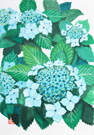 あじさい