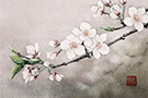枝桜