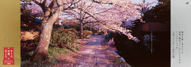http://souda-kyoto.jp/campaign/img/archives/1997_spring.jpg