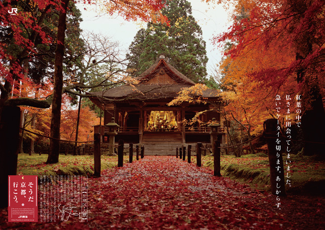http://souda-kyoto.jp/campaign/img/archives/2008_autumn.jpg
