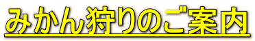 ݂̂ē
