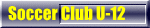 Soccer Club U-12