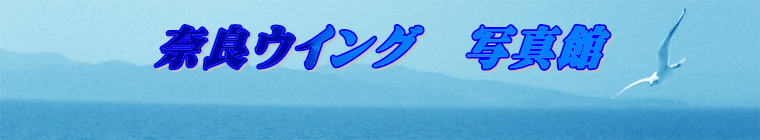 @@@ޗǃECO@ʐ^