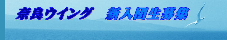 @ޗǃECO@VcW@@