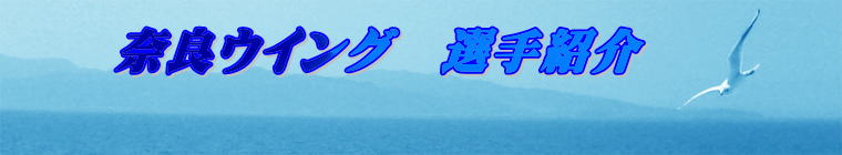 @@ޗǃECO@IЉ