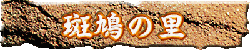 ̗