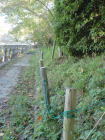 2006