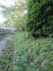 2007