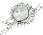 img01