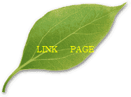 LINK@PAGE