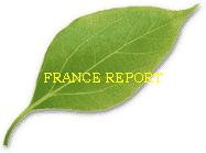 FRANCE REPORT
