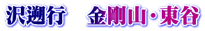 沢遡行　金剛山・東谷