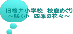䏬wZ@Z߂ `炭@lG̉ԁX`