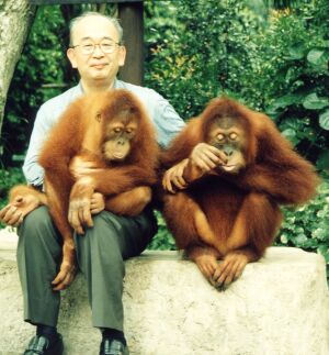 [SingZoo/Zoo3_300]