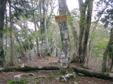 添谷山