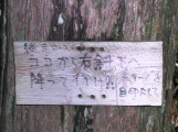 コース案内をしてくれている