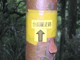̍񂾃}[J[