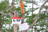 ここから先はあこがれの台高縦走路