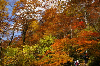 紅葉に埋もれて