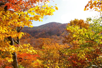 彩られた赤ウサギ山