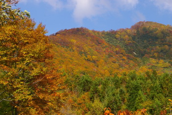 燃える山肌