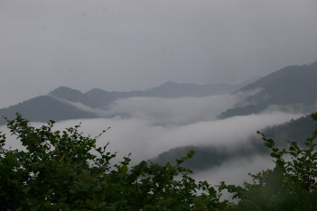 振り返れば雲海