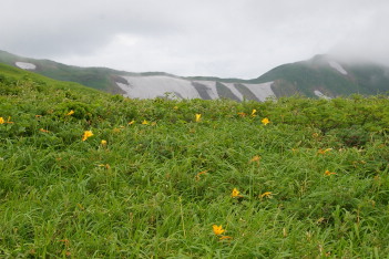 目指す稜線と頼母木山