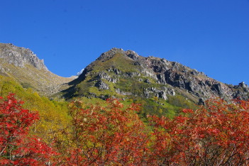 紅葉の向こうに水蒸気が