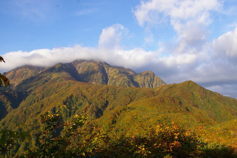 山頂だけ雲がからむ 越後駒ヶ岳